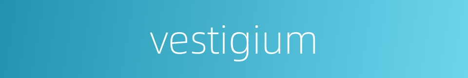 vestigium的同义词