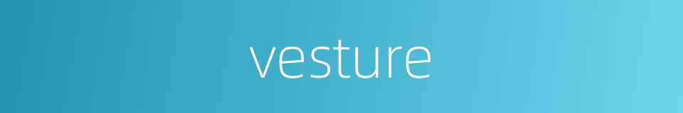 vesture的同义词