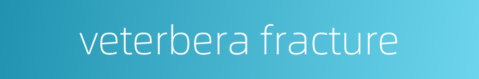 veterbera fracture的同义词