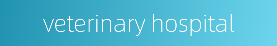 veterinary hospital的同义词