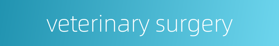 veterinary surgery的同义词