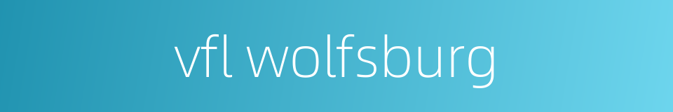 vfl wolfsburg的同义词