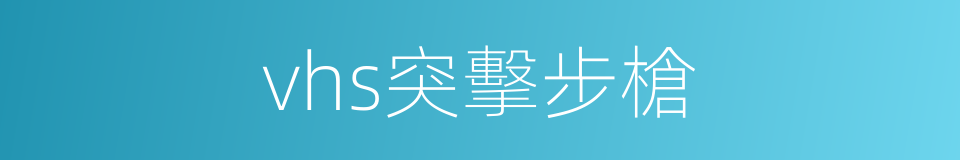 vhs突擊步槍的同義詞