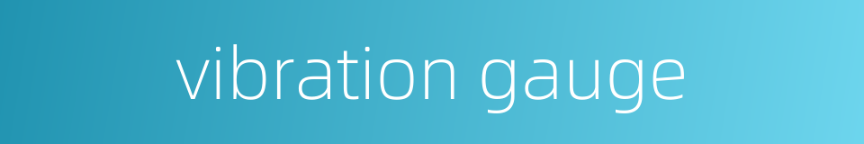 vibration gauge的同义词
