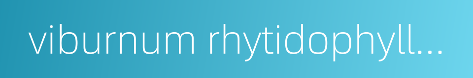 viburnum rhytidophyllum的同义词