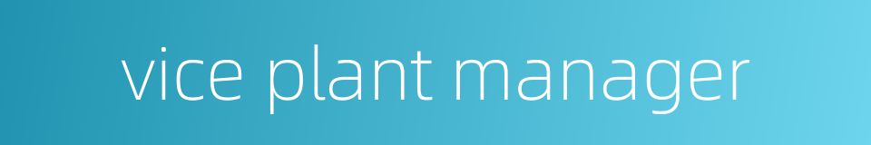 vice plant manager的同义词