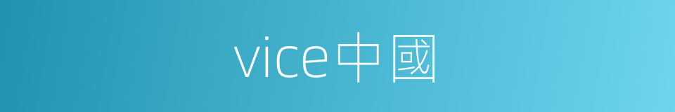 vice中國的同義詞
