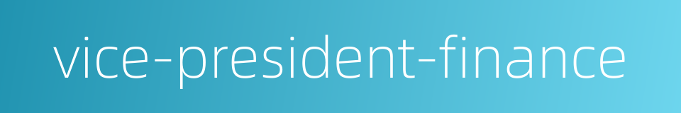 vice-president-finance的同义词