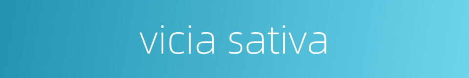 vicia sativa的同义词