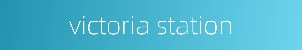 victoria station的同义词