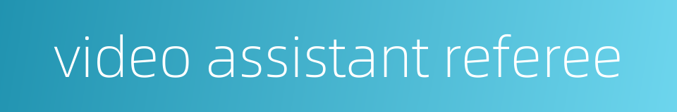 video assistant referee的同义词