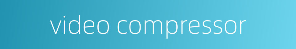 video compressor的同义词