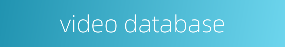 video database的同义词