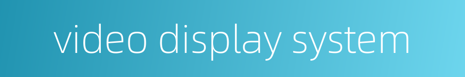 video display system的同义词