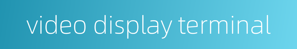 video display terminal的同义词