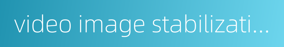 video image stabilization的同义词