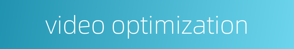 video optimization的同义词