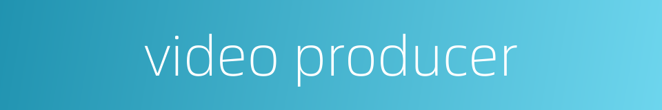 video producer的同义词