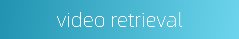 video retrieval的同义词
