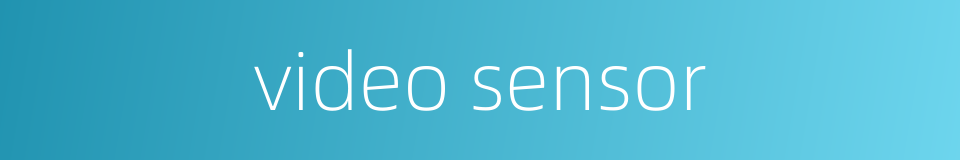 video sensor的同义词
