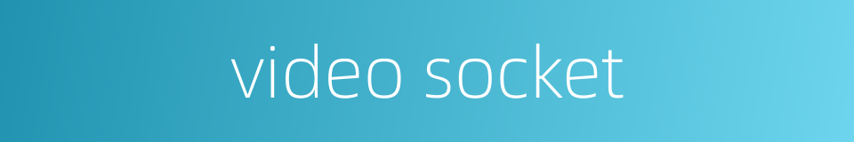 video socket的同义词