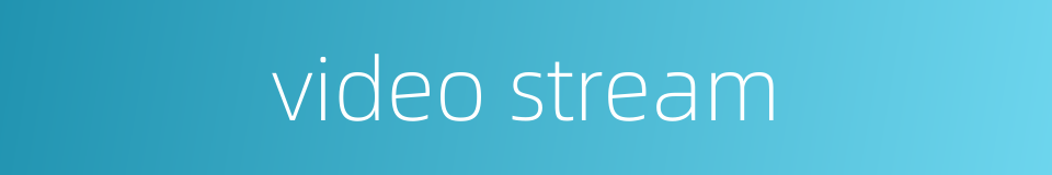 video stream的同义词