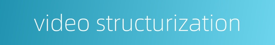 video structurization的同义词