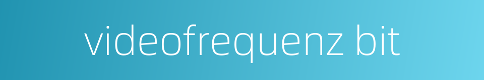 videofrequenz bit的同义词