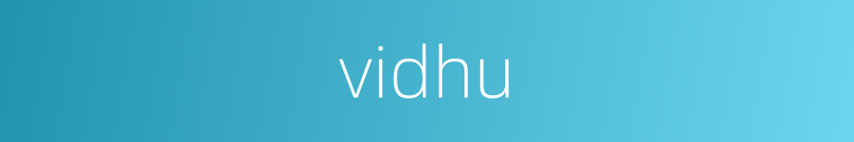 vidhu的同义词