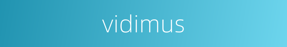 vidimus的同义词