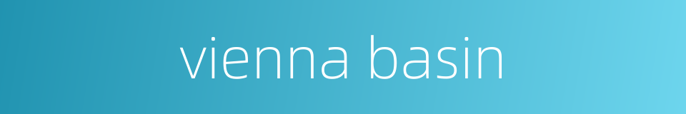 vienna basin的同义词