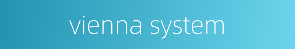 vienna system的同义词