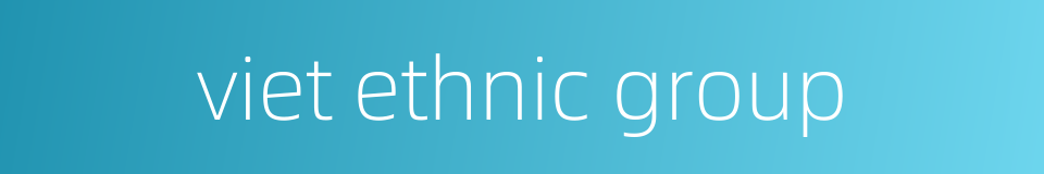 viet ethnic group的同义词