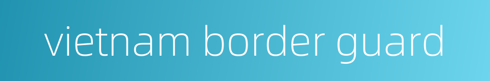 vietnam border guard的同义词