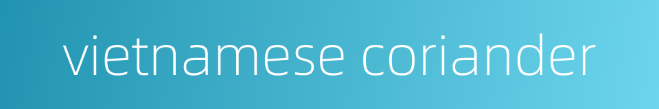 vietnamese coriander的同义词