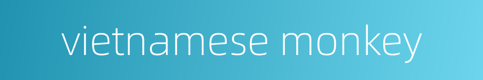 vietnamese monkey的同义词