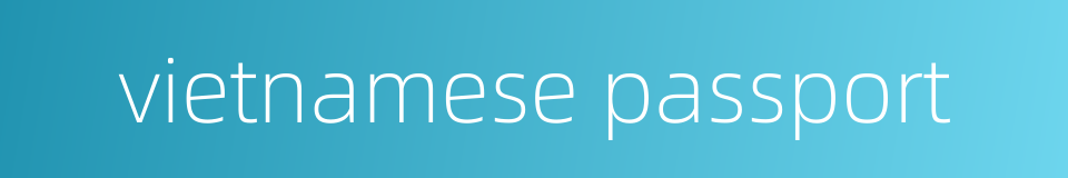 vietnamese passport的同义词