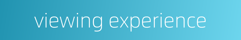 viewing experience的同义词