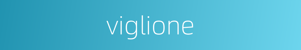 viglione的同义词