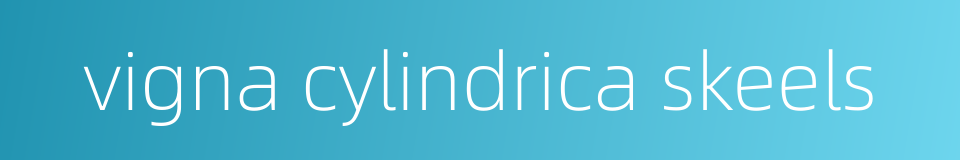 vigna cylindrica skeels的同义词