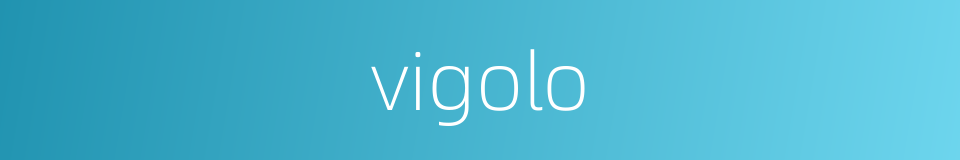 vigolo的同义词