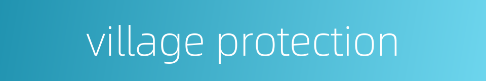 village protection的同义词