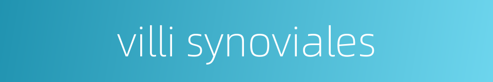 villi synoviales的同义词