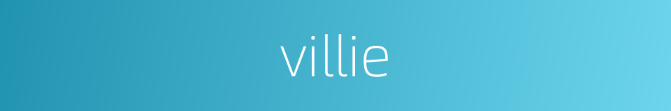 villie的同义词