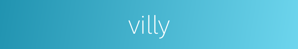 villy的同义词