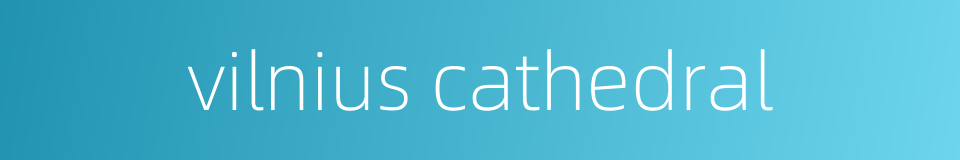 vilnius cathedral的同义词