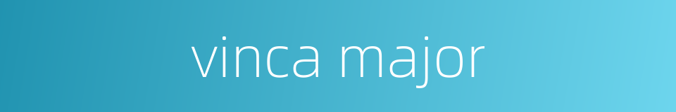 vinca major的同义词