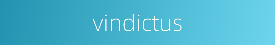 vindictus的同义词