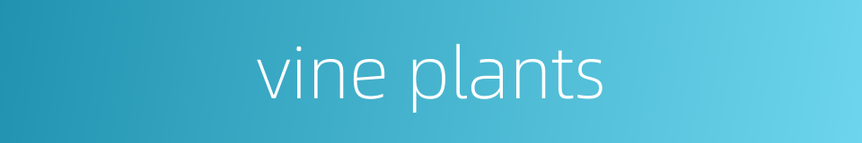 vine plants的同义词