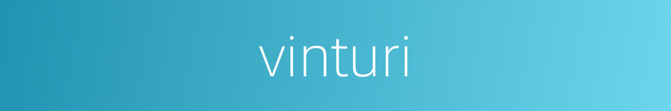 vinturi的同义词